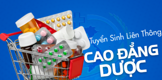 Liên thông dược hết bao nhiêu năm?